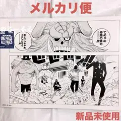 TOTALFAT サイン入り 販促ポスター B2 夏のトカゲ - メルカリ