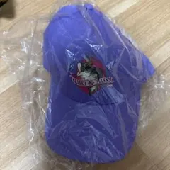 ズートピア2 ハッピーくじ　D賞　キャップ