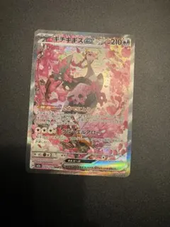 キチキギスex sar