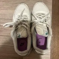 Item thumbnail for item 1fd0d01c-0deb-40e6-8510-827d75d0154d