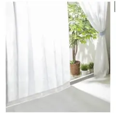 Item thumbnail for item 35daf7ff-e41a-47c0-a12f-535bf820b1db