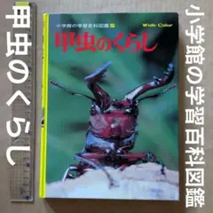 甲虫のくらし　小学館の学習百科図鑑　むし　カブトムシ　クワガタ