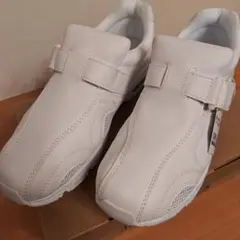 Item thumbnail for item 90c15636-dd05-48d6-9d4a-5ae9661a95cb