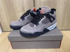 NIKE AIR JORDAN 4 TAUPE HAZE ナイキ トープ ヘイズ