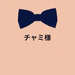 チャミ　24時間以内発送様 リクエスト 2点 まとめ商品