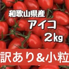訳ありと小粒！！和歌山県産ミニトマトアイコのサムネイル