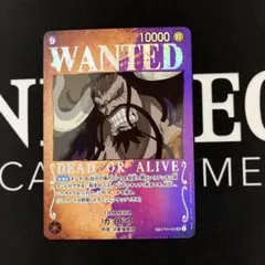 カイドウ　手配書SP