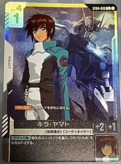 2026年最新】キラヤマト パラレルの人気アイテム - メルカリ