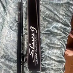 DESIGNO/デジーノ スラング LS-C75XXXHRX バスタ 2021年モデル デジーノ レーベン スラング BUSTA LS-C75XXXHRX