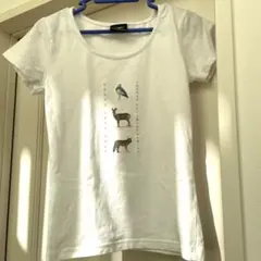 未使用 本物保証　パタゴニア　ストレッチ素材　シャツ　child Lサイズ