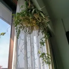 Item thumbnail for item 2f27d840-d355-428e-86c2-61e2aa2b743d