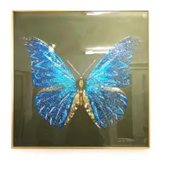 ハ2415 【中古品】裏シミ有り 表縁汚れ有り ブラジルの青いモルフォ蝶
