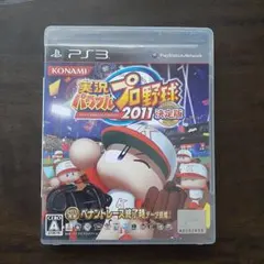 実況パワフルプロ野球2011決定版