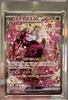 キチキギスex 210HP SAR
