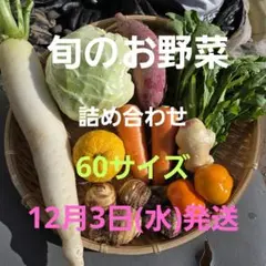 新鮮・朝採り　旬のお野菜詰め合わせ❣️　60サイズ