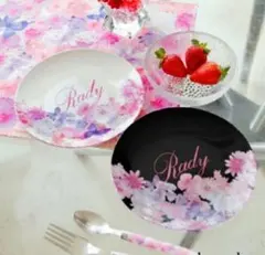 Rady トロピカルピンク メラミンプレート 2枚セット Amazon.co.jp: Rady レディー トロピカル ピンク フード付き