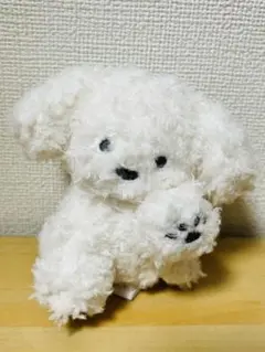 てらおかなつみ アフタヌーンティー