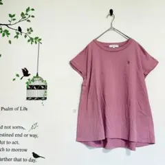 U.S.POLO ASSN/フレンチスリーブ 切り替えフレアシャツ 綿100