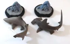 シャーク様 リクエスト 2点 まとめ商品