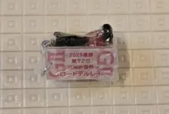アイドルホースミニコレクション vol.42 ロードデルレイ