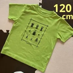☆モントベル☆昆虫プリント Tシャツ 男の子120cm 黄緑 mont-bell