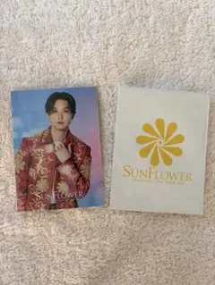 FANTASTICS 堀夏喜　SUNFLOWER フォトカード