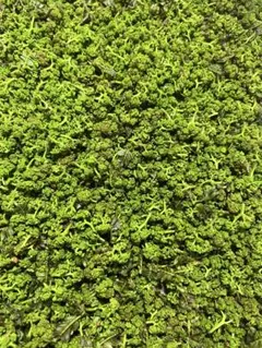 花山椒 150g ネコポス 花山椒 たっぷり50g入り 4個までネコポス配送で送料330円(受注後送料