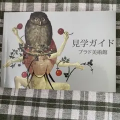 Item thumbnail for item 95e4a6ba-401e-4446-8e88-191e56d71a42