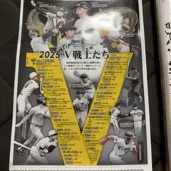 阪神タイガース 2025優勝記念号外 クリアファイルのサムネイル