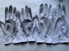 Item thumbnail for item 72a8e43f-6664-4a52-96d5-3631a0fe6be6