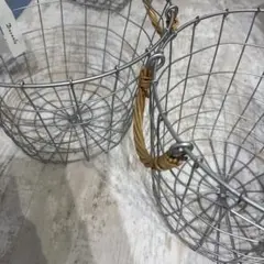 Item thumbnail for item 2903f12f-9203-4a50-962a-44ec401ac296