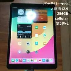 値下 iPadPro (12.9インチ) 第2世代 256GB Cellular