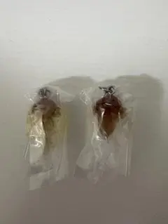 なめこ　めじるしアクセサリー　2種