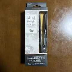 Mini Straight Hair Iron