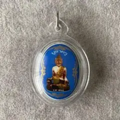 2026年最新】プラクルアン 虎の人気アイテム - メルカリ