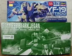 ハセガワ YF-19 バトロイド マクロスプラス MG スタークジェガン