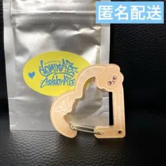 スキズ dominATE celebrATE アクリルカラビナ パピーム