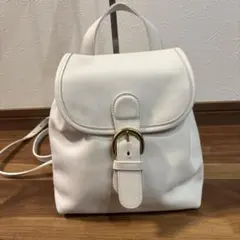 【極美品】COACH コーチ 4152 希少カラー グラブタンレザー リュック
