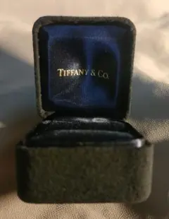 ★Tiffany & Co. ベルベットリングケース★