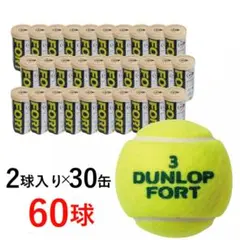【新品】 Dunlop　ダンロップ フォート　1箱60球のサムネイル