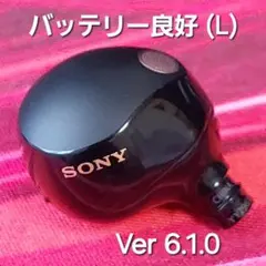 【バッテリー良好】SONY WF-1000XM5 ブラック 左耳