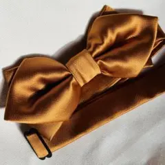 蝶ネクタイ/メンズ/ネクタイ/ゴールド
