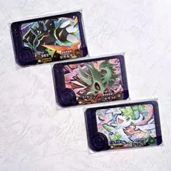 EV様専用☆ポケモンフレンダ　ベストタッグ4弾　ジガルデ　バンギラス　シェイミ