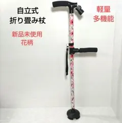 Item thumbnail for item 7003be0f-ed1f-49ab-8080-4e933f2eca2f