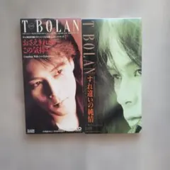 T-BOLAN シングル 2枚組CD