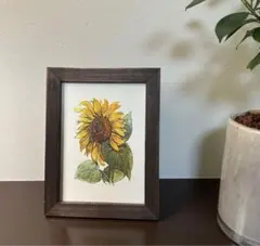 1962年 デンマークの植物図鑑 FLORA I FARVER 希少ヴィンテージ 1962年 デンマークの植物図鑑 FLORA I FARVER 希少ヴィンテージ - メルカリ
