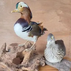 【美品】ビンテージ　トリ　鳥　陶器　置物　インテリア　工芸品　美術品　A2679 美品】ビンテージ トリ 鳥 陶器 置物 インテリア 工芸品 美術品 A2679
