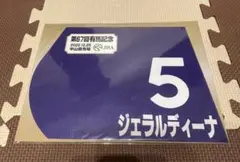 2026年最新】出走馬ミニゼッケンの人気アイテム - メルカリ