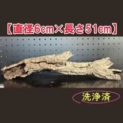 250820 ポルトガル産 キャノンコルク コルク樹皮コルク板　バージンコルク 250802 ポルトガル産 キャノンコルク コルク樹皮 コルク板
