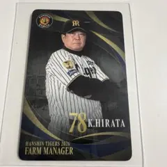 Item thumbnail for item d96bcc1b-1e37-4a97-9204-eb02890b462e